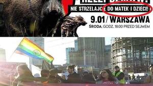 Kobieta z płodem, ale locha to "matka z dziećmi". Tak uważa lewica!