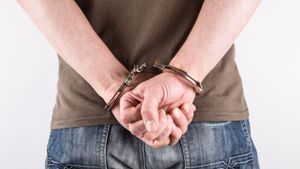 Szokujące! 48 osób aresztowanych za pornografię dziecięcą! Wśród nich urzędnicy