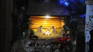 Brat Albert i siostry Albertynki