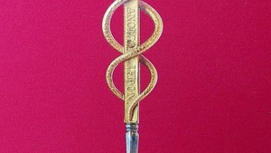 Uroczyste otwarcie Muzeum Czartoryskich w Puławach