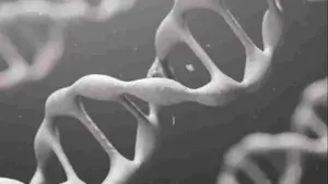 Nowa MUTACJA koronawirusa odporna na SZCZEPIENIA?! WHO i koncerny przerażone! 