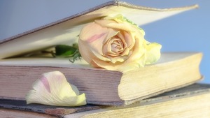 Dr Marta Cywińska: Kilka słów o literaturze kresowej