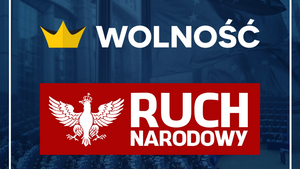  Ruch Narodowy i Wolność idą razem do europarlamentu. Lepiej późno niż wcale