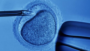 Łódź będzie dopłacać do in vitro