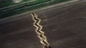 Rosjanie naprawdę to robią. Internauci w szoku (FOTO)