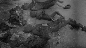 Zbrodnia niemiecka w Michniowie. Spalili żywcem 9-dniowe dziecko