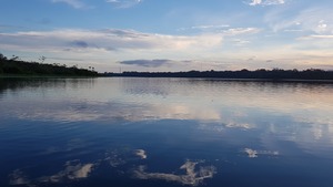 Synod w Amazonii. Kolejny wielki krok w stronę ezoterycznego chrześcijaństwa przyszłości?