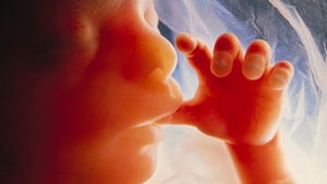 PILNE: List otwarty do parlamentarzystów wywodzących się z organizacji katolickich