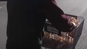 We Francji zostaną wprowadzone talony na żywność