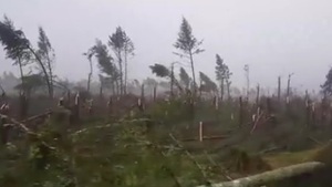 Dwie dziewczynki i troje dorosłych nie żyją po wczorajszych nawałnicach na Pomorzu
