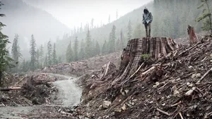 WIELKIE OSZUSTWO?! Jak koncerny sprzedały nam historię o „śladzie węglowym”! 