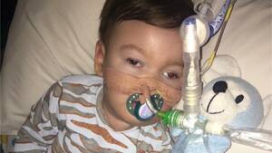 Polacy w obronie Alfiego wysyłają petycje do królowej Elżbiety