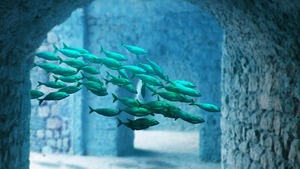 Pierwsza podwodna restauracja w Europie