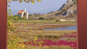 Poezja i modlitwa – o twórczości Barbary Kacperskiej