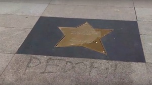 Warszawa oddaje honory Polańskiemu - ktoś wydrapał napis "PEDOFIL"