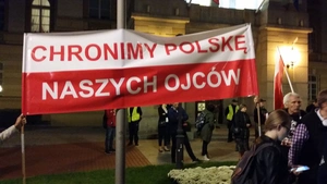 Wszystkie media przemilczały demonstrację narodowców przeciwko imigrantom. Tylko u nas relacja wideo i zdjęcia