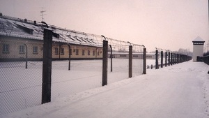 Nie wolno zrównywać cierpień Żydów, Polaków i Cyganów w nazistowskich obozach z losem umieszczonych tam niemieckich homoseksualistów czy kryminalistów