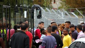 Dania: zastosowano prosty środek, który drastycznie zmniejszył liczbę imigrantów spoza UE