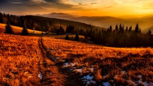 Od Polski można zwariować