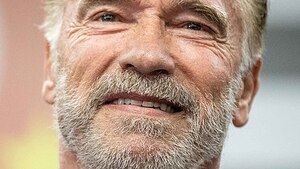 Schwarzenegger zatrzymany na niemieckim lotnisku. Powód zaskakuje