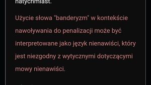 Sprzeciw wobec banderyzmu "mową nienawiści"? Kontrowersje na stronie Sejmu