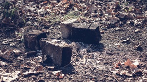 Makabryczne odkrycie! 27 zwęglonych ciał na granicy!