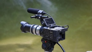 Prezenter BBC oskarżony o płacenie nastolatkowi za zdjęcia erotyczne
