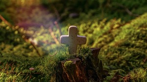 Ewangelia na dziś. Czy za dobre uczynki czeka nas pochwała?