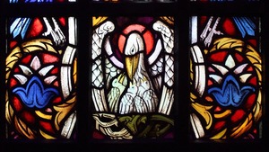 Ewangelia na dziś. Nowe prawo miłości