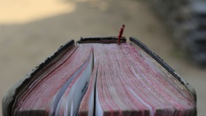 Ewangelia na dziś. "Więzy języka się rozwiązały i mógł prawidłowo mówić"