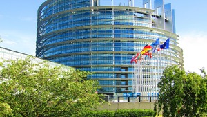 Tajne porozumienie z udziałem AfD w europarlamencie? Ma dotyczyć polityki migracyjnej