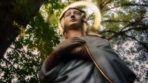 Konsekracja dziewic w Warszawie! ""Dokonują się rzeczy dla nas niezrozumiałe!"