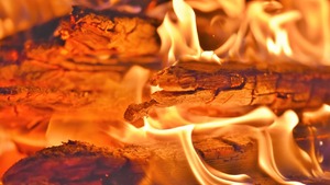 Zwrot w sprawie dotacji z "Czystego Powietrza". 5 lat i koniec?