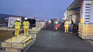 6180 sztuk kurczaków wylądowało na drodze! Szokujące zdarzenie pod Łęczycą!
