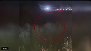 Lew uciekł z ogrodu zoologicznego. Ciężko ranił mężczyznę! (WIDEO)