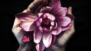 Ewangelia na dziś. "Błogosławiona jesteś między niewiastami"