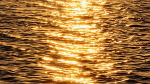 Ewangelia na dziś. Zobaczyli Jezusa i przestraszyli się! Dlaczego?