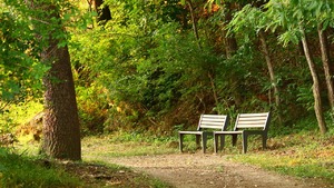 Kleszcze grasują. Oto mapa, gdzie jest ich najwięcej