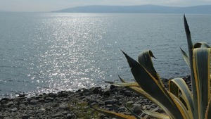 Ewangelia na dziś.  Ludzie biegali po całej owej okolicy