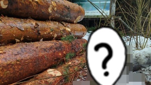 Szokujące znalezisko w Bieszczadach. Leśnicy oburzeni!