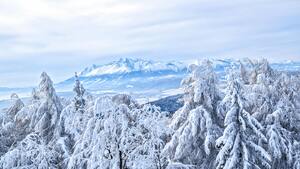 Wypadek w Tatrach. Turystka spadła 400 metrów w dół!