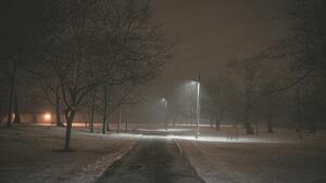 Tragiczna śmierć 10 osób w Polsce. Pilny apel policji!