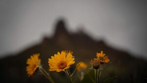 Ewangelia na dziś. "Uważajcie na siebie"