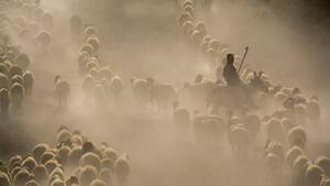 Ewangelia na dziś. Zostawi 99 na górach!