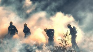 Gigantyczne pożary w pobliżu Jerozolimy. Hamas wezwał do „spalenia wszystkiego”
