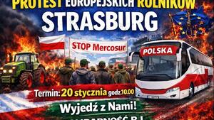 Rolnicy nie odpuszczają! Szykują kolejny ogólnoeuropejski protest. Jest data i plan
