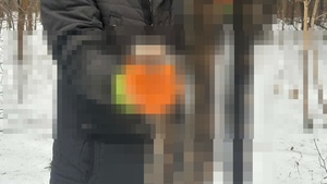 Szokujące znalezisko w Otwocku! Miał ponad 2 metry! [FOTO]