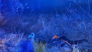 Jechali na interwencję. Nagle w rowie zobaczyli rękę!