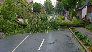 1,2 miliona francuskich domów bez prądu po przejściu huraganu Ciaran