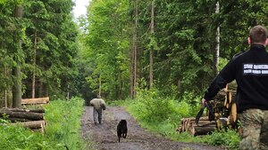 Przymusowa deportacja dwóch cudzoziemców! Jakiej byli narodowości?
